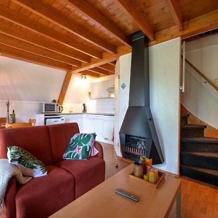 Nice Holiday Home In Gramsbergen On Family Park Екстер'єр фото